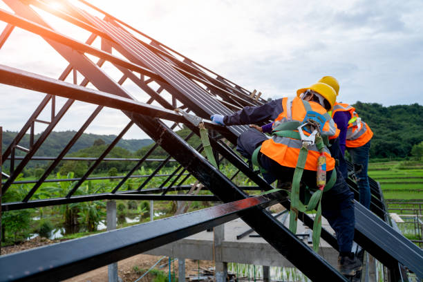 Roof Gutter Cleaning in Timberline Fernwood, AZ