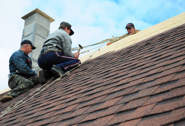 Quick and Trustworthy Emergency Roof Repair Services in Timberline Fernwood, AZ